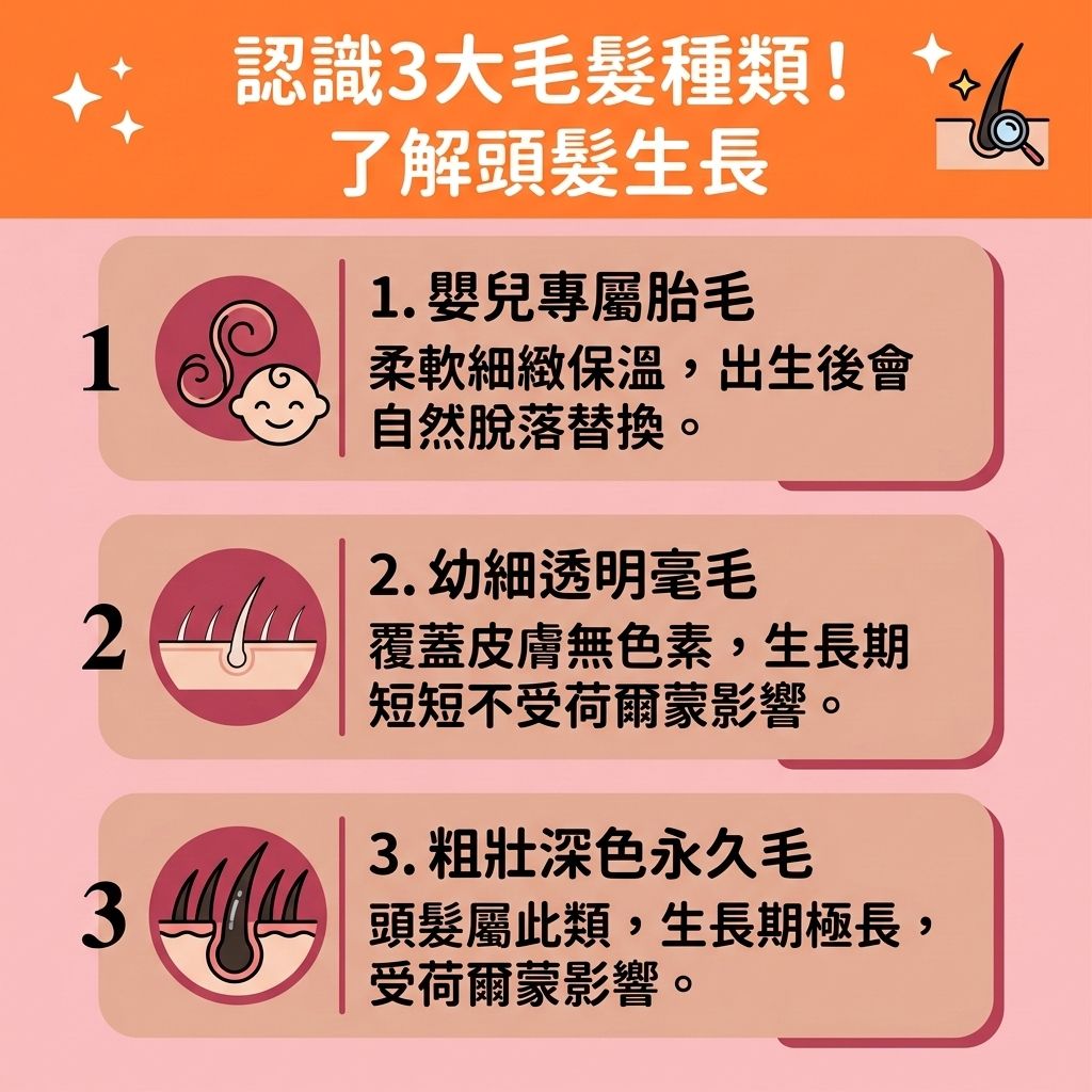 這是一張 1:1 正方形的可愛扁平化向量醫美資訊圖表，採用台灣健康部落格風格，介紹人體毛髮種類與【預防脫髮方法】。圖表解析了屬於「永久毛」的頭髮特性。當【頭皮】的【皮脂腺】異常，或受【荷爾蒙】轉化的【雙氫睪酮】過度刺激時，會縮短頭髮的【生長週期】，引發【雄性禿】與嚴重的【脫髮】危機，導致患者急需【解決前額脫髮】及【改善髮線後移】。

為求【調理頭皮健康】與【改善頭皮環境】，圖表建議定期進行【頭皮深層清潔】，並挑選合適的【防脫髮洗髮露】。日常需【補充頭髮營養】，攝取充足的【蛋白質】、【維他命】、【鐵質】、【鋅質】與【生物素】，這些營養能幫助身體合成【角蛋白】與【膠原蛋白】，進而【滋養脆弱髮絲】並【強健脆弱髮根】。

維持良好的【血液循環】能【改善頭皮血液循環】，幫助【延緩毛囊萎縮】並【激活休眠毛囊】。若想進一步【改善頭髮稀疏】、【增加頭髮密度】並【減少掉髮數量】，除了日常塗抹【生髮水】，也可考慮尋求【專業生髮療程】或【激光生髮】技術，以【刺激毛囊再生】、【延長生長週期】並【促進頭髮生長】，達成完美的【頭髮再生】。若【毛囊】已徹底壞死，則建議透過【植髮】手術來重拾濃密秀髮！